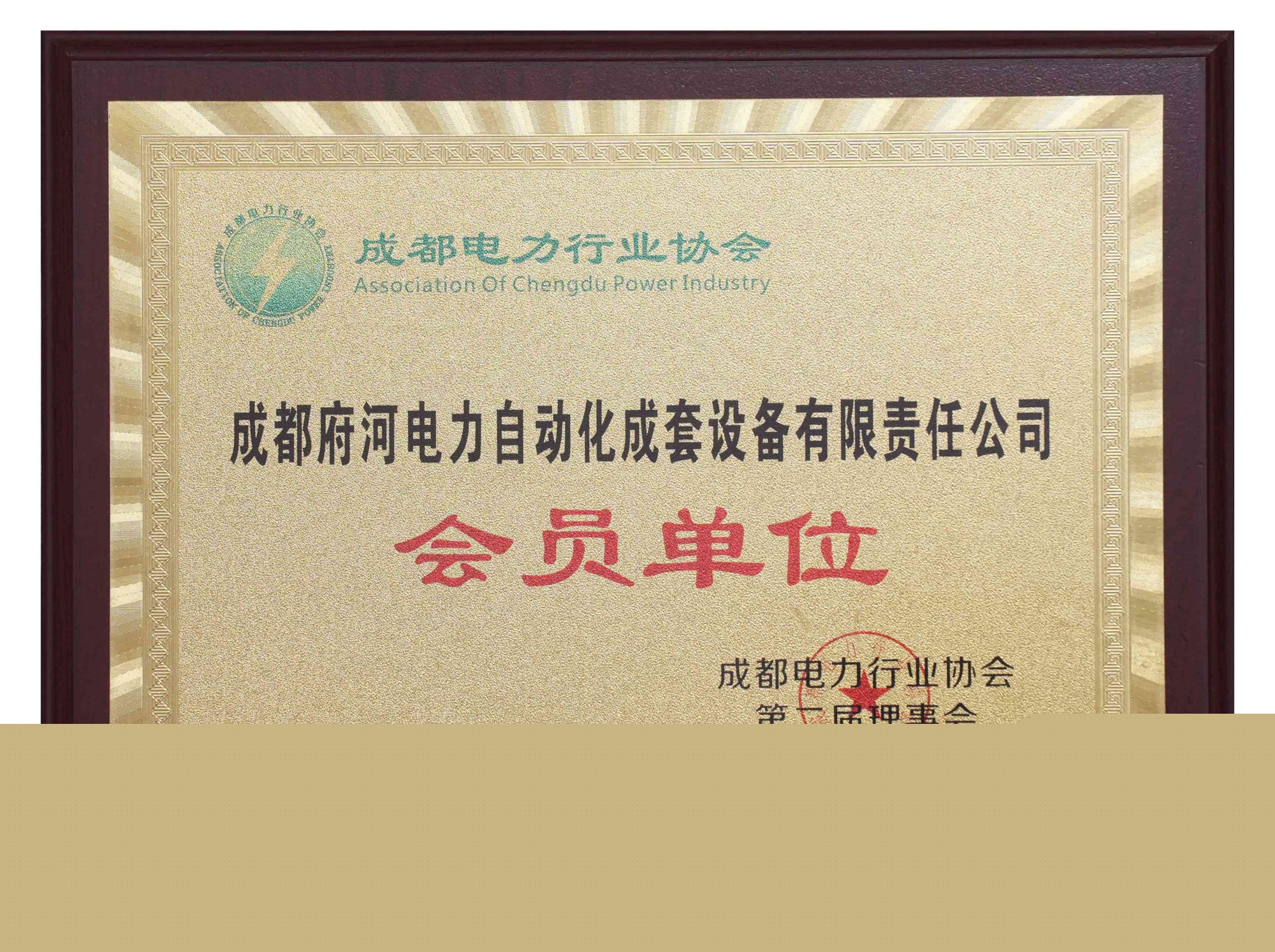 成都府河電力自動化成套設備有限責任公司 會員單位